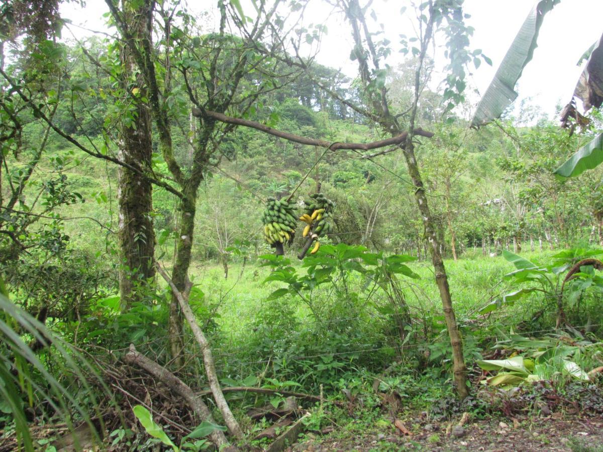 Posada Río Celeste La Amistad Exterior foto