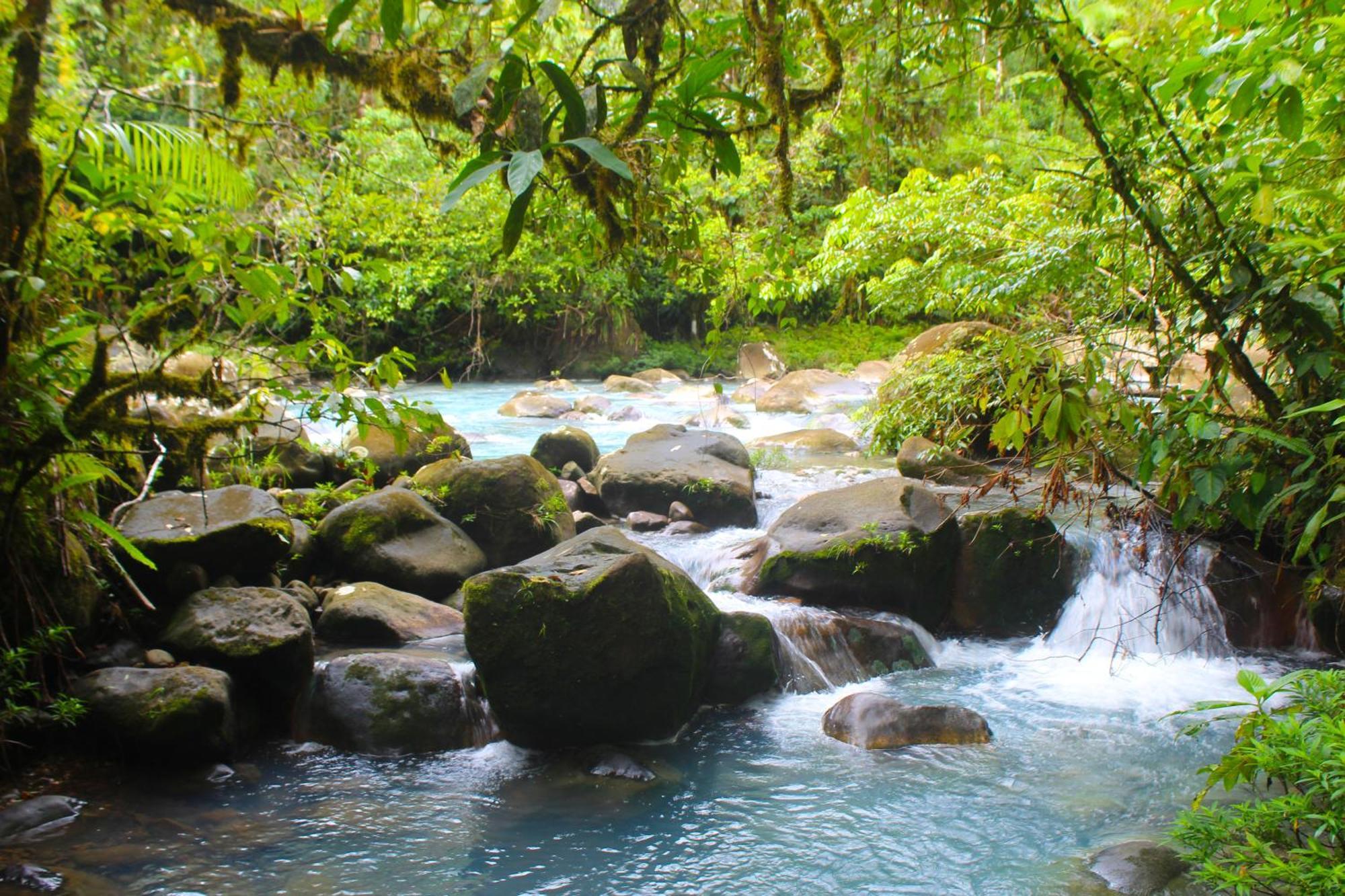 Posada Río Celeste La Amistad Exterior foto