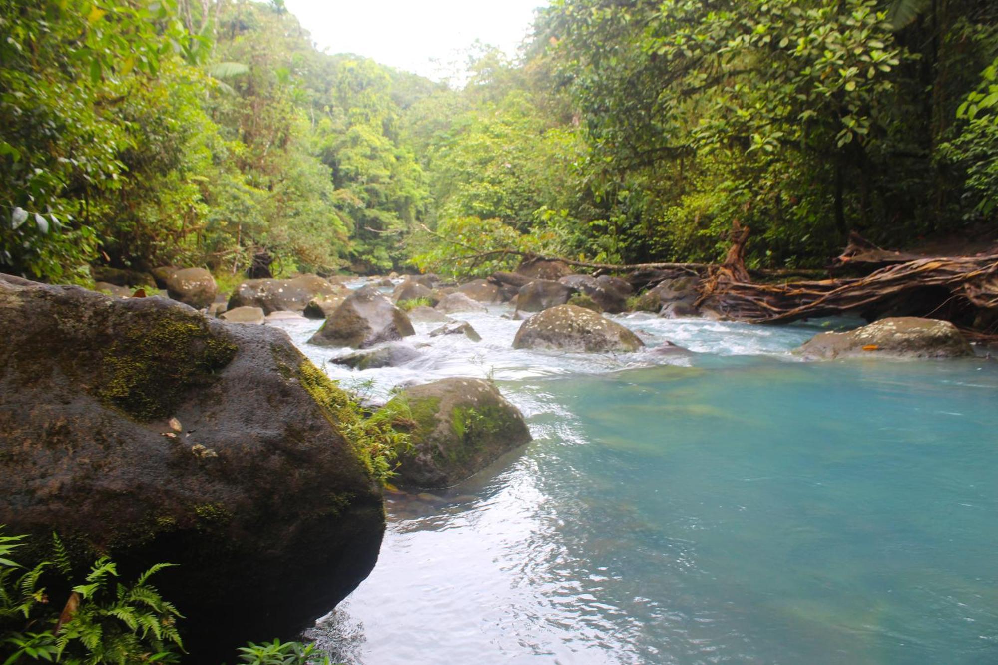 Posada Río Celeste La Amistad Exterior foto
